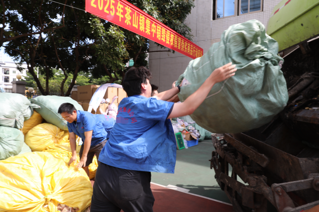 守护舌尖上的安全：广东海警无害处理一批走私冻品